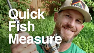 The Easiest Way To Measure Fish Length