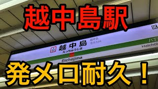 ［フルコーラス鳴るか！？］即ギリの聖地、越中島駅でフルコーラス耐久！