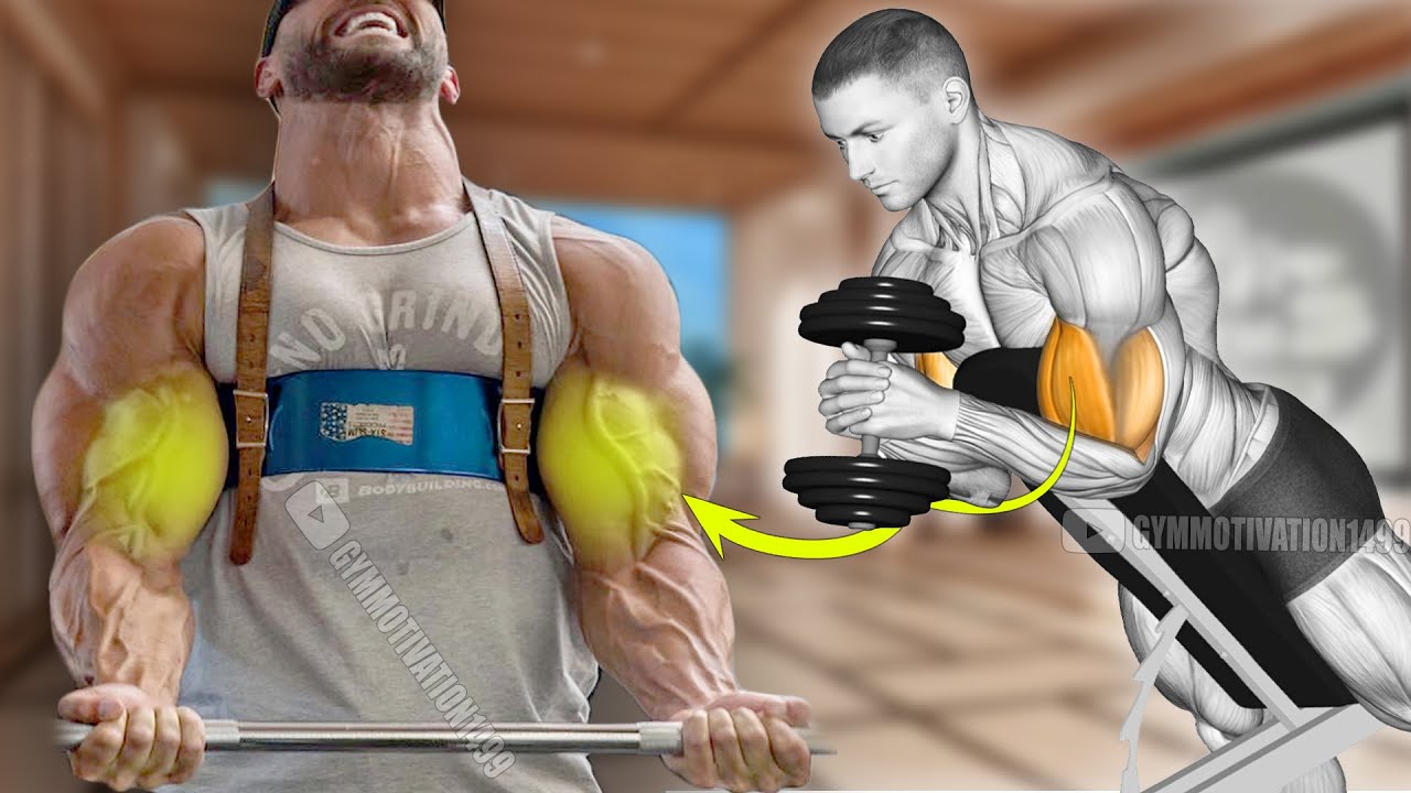 6 Fastest Huge Biceps Exercises Youtube
