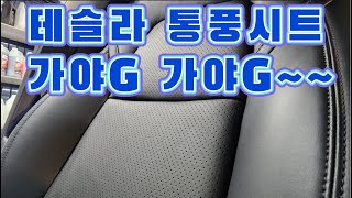 테슬라 모델3 통풍시트 맛집