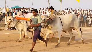 madamanchipadu PNR BuLLS Won gost to ✴️8th◀️ place 4100.6