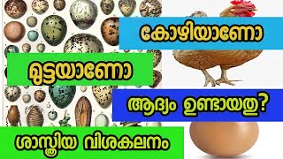 Hen or egg came first? Analysis | കോഴിയാണോ മുട്ടയാണോ ആദ്യം ഉണ്ടായതു |#Teamalones