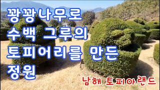 꽝꽝나무 토피어리 정원, 남해 [토피아랜드], beautiful gardedn, 정원 카페, 남해 여행, 아름다운 정원,