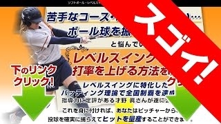 ソフトボール・レベルスイング習得プログラム 上達のコツが評判