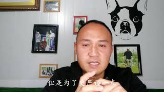 被狗咬了就会得狂犬病吗？十几年从业人员告诉你