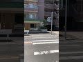 最新の押しボタン式横断歩道