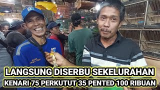 update harga burung di kios bajang makin murah pasar burung pramuka