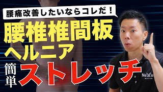 【腰椎椎間板ヘルニアのストレッチ】腰痛改善には腰を動かすな！？