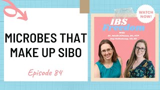 Microbes that make up SIBO - IBS Freedom Podcast #84