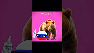 Russia's pet🐻 | #countryballsedit #countryballs #viral #keşfet