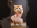 cute dusto kokil dance. shorts trending funny dance cat