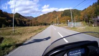 紅葉の「せせらぎ街道」をバイクでソロツー！