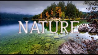 True Relaxing Music For Stress Relief, Nature Sounds, Relax Music, Sleep, Calm Music