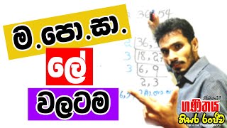 Mathematics Sinhala | Maha Podu Sadakaya | ම.පො.සා. | Grade 7 | Grade 8 | Grade 9 | Grade 10 | O/L