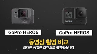 고프로8(GoPro HERO8), 고프로6(GoPro HERO6) 동영상 촬영 비교해봤습니다 - 톱데일리(Topdaily)