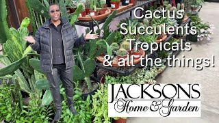 330: Browsing Plants And All The Things! Jacksons Home \u0026 Garden | Dallas, Texas