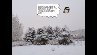 2020北京的第一场雪，比以往来得更早而且下得大，瑞雪兆丰年呀