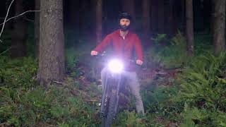 Conquer the Wild, Unleash Your Passion – Freego Dirt Electric Mountain Bike X2