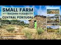 🔆 Small Farm for Sale | Building Feasibility | Central Portugal | Unavailable