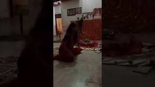 🙏🙏🌹 Mata Rani khelte hue 🌹🌹🙏 Guru mein Monika Malik ki Lado Beti bhakt Renu Joshi mo..9002728521
