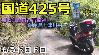 【酷道_走行動画】国道425号 田辺市龍神～十津川村① もうドロドロ 【NMAXモトブログAprio】