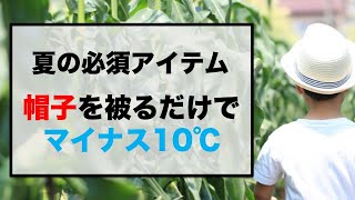 帽子を被るだけでマイナス10℃の効果