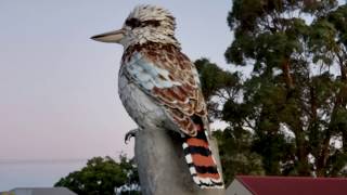 The Kurri Kurri Walk \u0026 Talk | Australian Small Town Tour