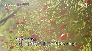 만성 염증을 잡아라! 핀란드를 넘어 세계인의 인기 슈퍼푸드가 된 {로즈힙} #highlight #슈퍼푸드의힘 EP.13