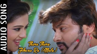 Thare Thare Jibana Re (Male) | Audio song | Khei Jane Bhala Lage Re | Odia Movie | Anubhav | Varsha