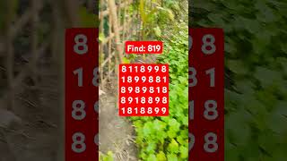 Observation Visual Test: 5 Seconds For You To Spot 819. Try Your Skills! #search #puzzle #shorts