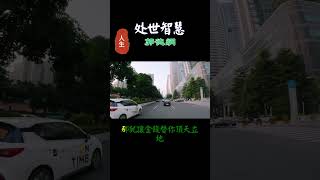 056 成熟的人錢字當頭，幼稚的人愛字為先，追愛的人壹事無成，貪財的人風生水起。 #人生感悟 #正能量 #情感  #分享 #感情 #励志 #愛情 #人生