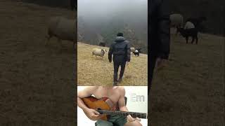 The Good Shepherd and His Sheep . HOW GREAT THOU ART #guitar