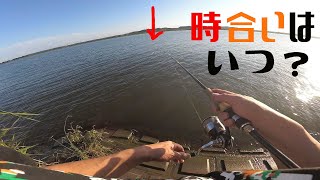 時合いはいつ？　ー　霞水系・霞ヶ浦・北浦・鰐川・北利根川・外浪逆浦・常陸利根川【シーバス・アメリカナマズ・バス】－やまいぬ【釣りと歌】チャンネル