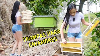 * ABEJAS GRATIS * para MULTIPLICAR el Apiario 🐝🏃‍♂️