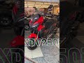 wmoto xdv 250i on sale darmamotor wmoto xdv250 scooter sale fyp