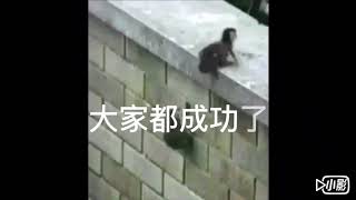 小鴨子爬牆