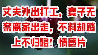 丈夫外出打工，妻子无奈离家出走，不料却踏上不归路！情感片