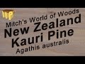 New Zealand Kauri Pine (Agathis australis) - Mitch's World of Woods