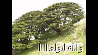 LEBANESE DABKE والله لنولعا دبكة ولا اجمل