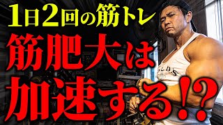 1日2回の筋トレで筋肥大は加速するのか!?【ダブルスプリット】