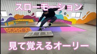 【スケボー】オーリースローモーション　how to ollie see and learn