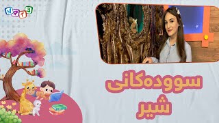 ماڵه‌دارینه‌ | باسكردنی شیر و سوده‌كانی