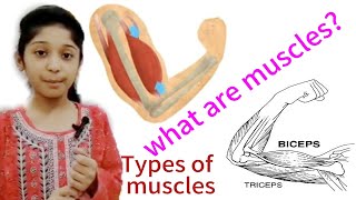 Define muscles and its types | How your muscles work | 3 muscle types