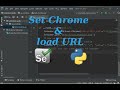 Begin with Selenium in Python 3 : How to set chrome and load URL