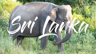 Itinéraire de 11 jours au Sri Lanka - Récit de voyage.