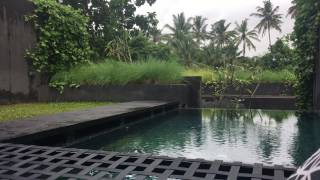 Origin Ubud - Chilling poolside all day