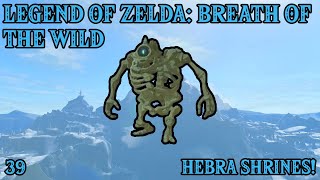 Frozen Fortunes: Discovering Hebra Region Shrines! | Breath of The Wild (Part 39)