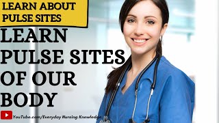 Learn All The Pulse Sites Of Our Body I Day 44 I Everyday Nursing Knowledge