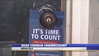 2020 Census Undercount