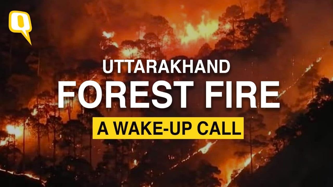 Uttarakhand Forest Fire | Extent Of Damage & Why It Is A Cause Of ...